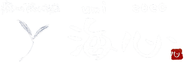 癒しの隠れ部屋 海心